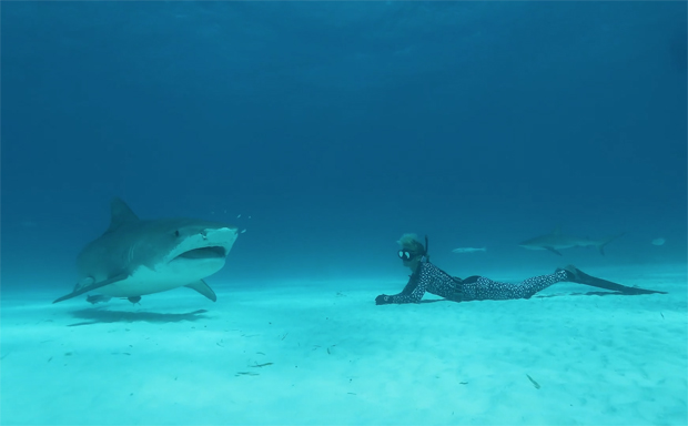 Image 2 for Ocean Ramsey on what to do in a shark attack