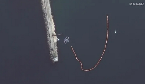 Image 2 for Why Russia is using military dolphins and marine animals as sea defence in war against Ukraine