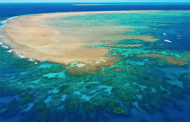 Image 1 for Good news on the Great Barrier Reef . . . well yeah it’s pretty good